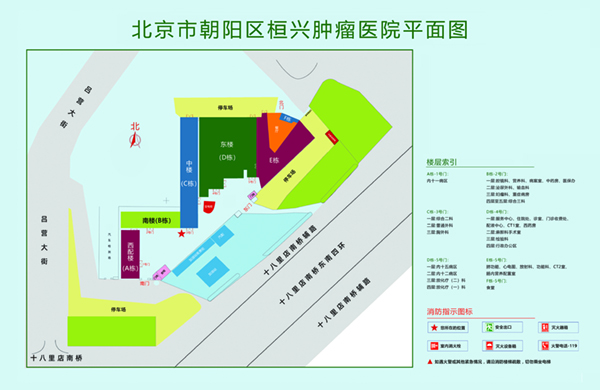 sss捅阴道视屏网站北京市朝阳区桓兴肿瘤医院平面图